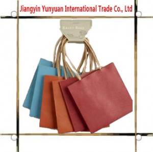 Custom Printed Kraft Paper Bag with Cotton Handle